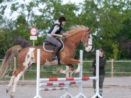 IMG_0696_web
